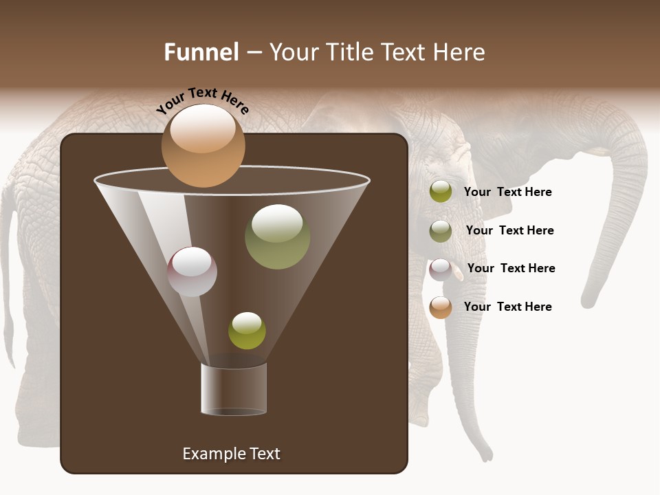 One Natural Tusk PowerPoint Template