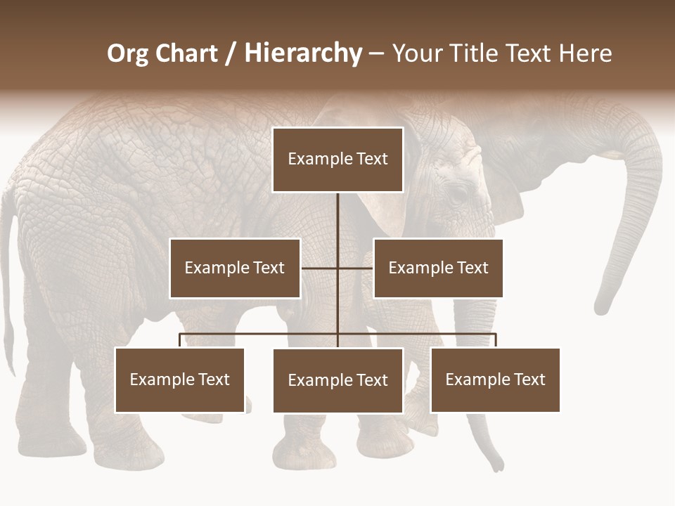 One Natural Tusk PowerPoint Template