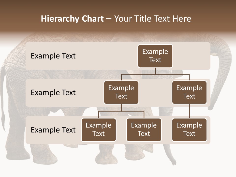 One Natural Tusk PowerPoint Template
