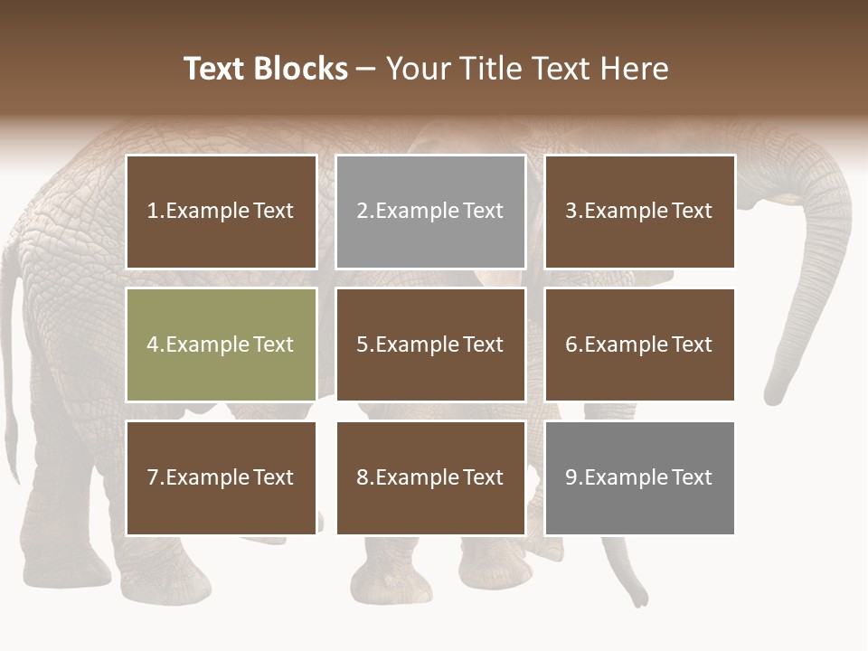 One Natural Tusk PowerPoint Template