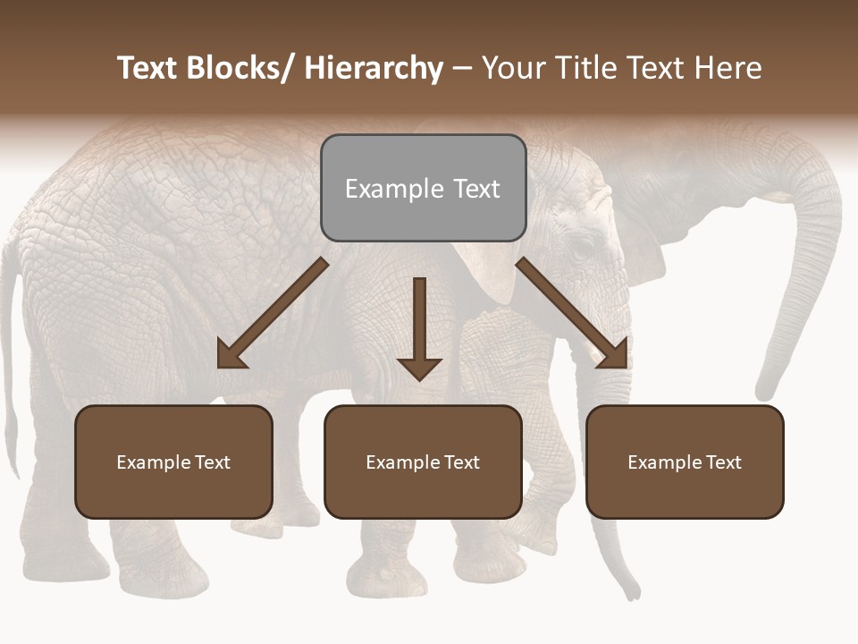 One Natural Tusk PowerPoint Template