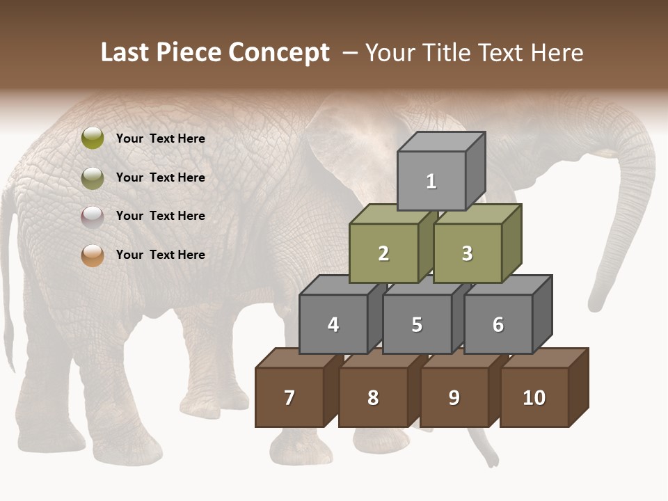 One Natural Tusk PowerPoint Template