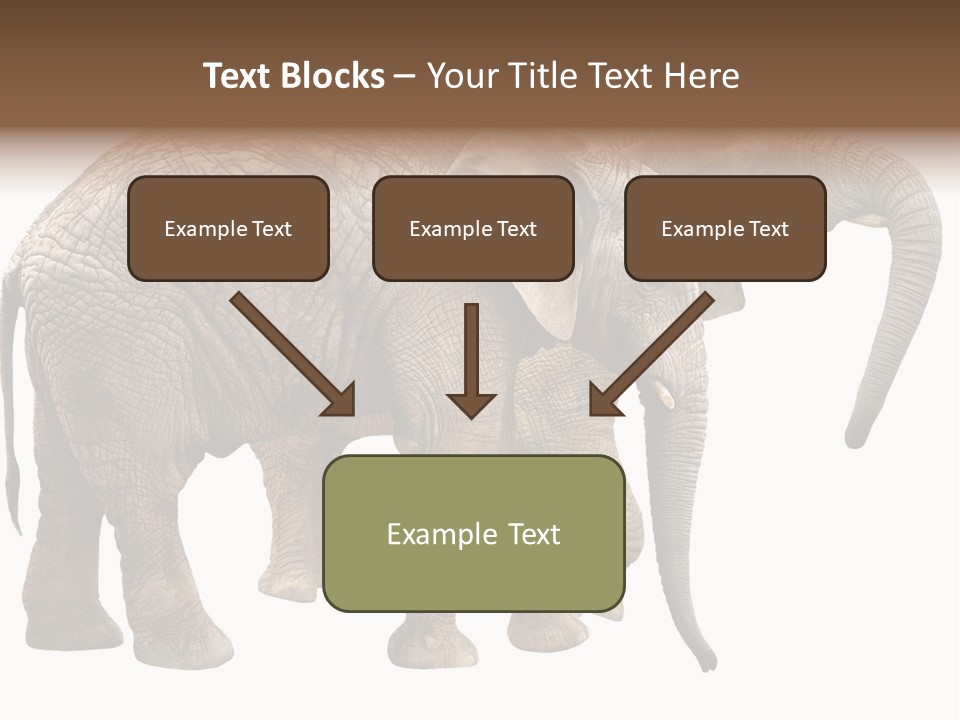 One Natural Tusk PowerPoint Template