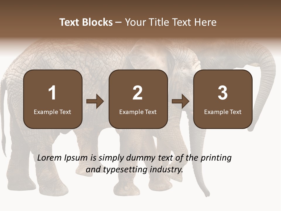One Natural Tusk PowerPoint Template