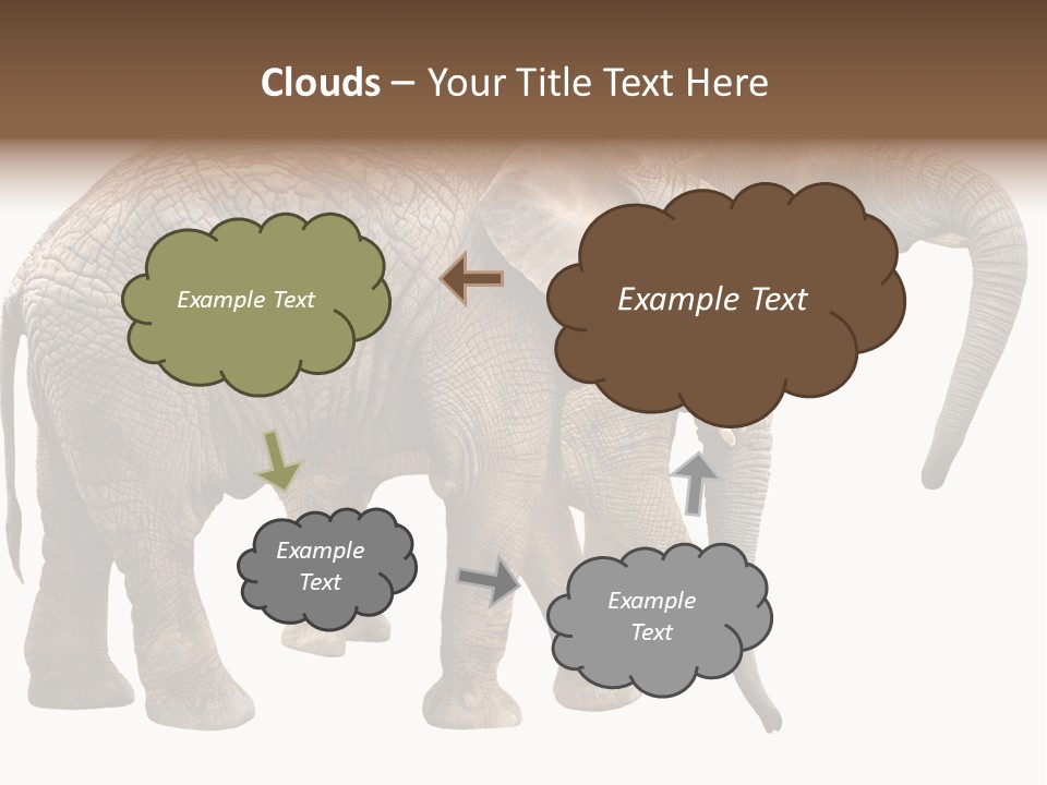 One Natural Tusk PowerPoint Template