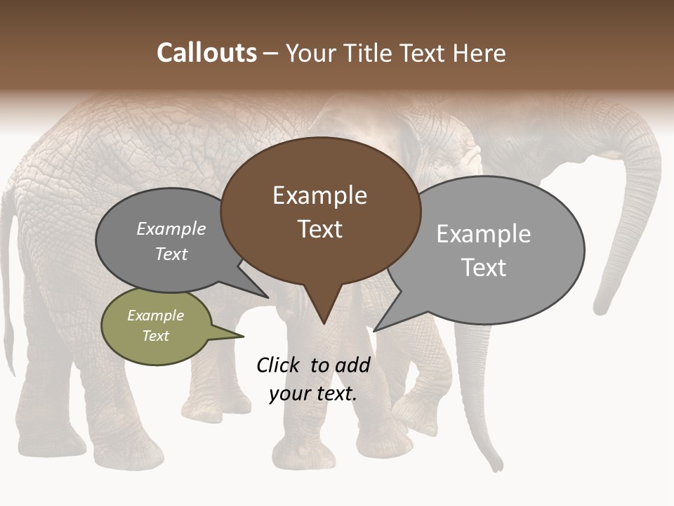 One Natural Tusk PowerPoint Template