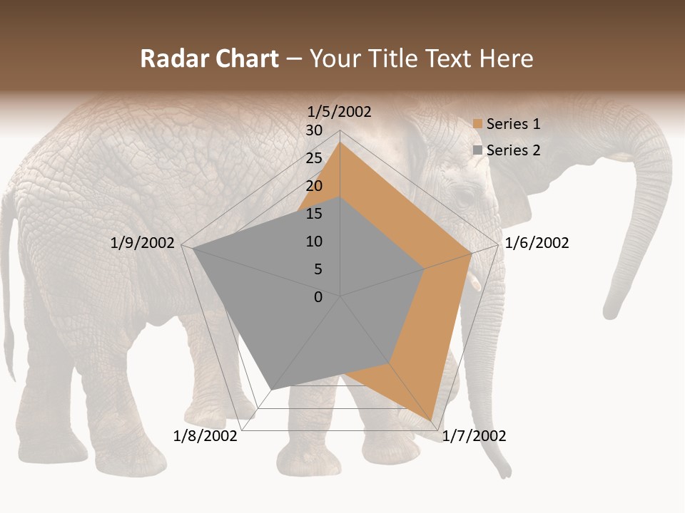 One Natural Tusk PowerPoint Template