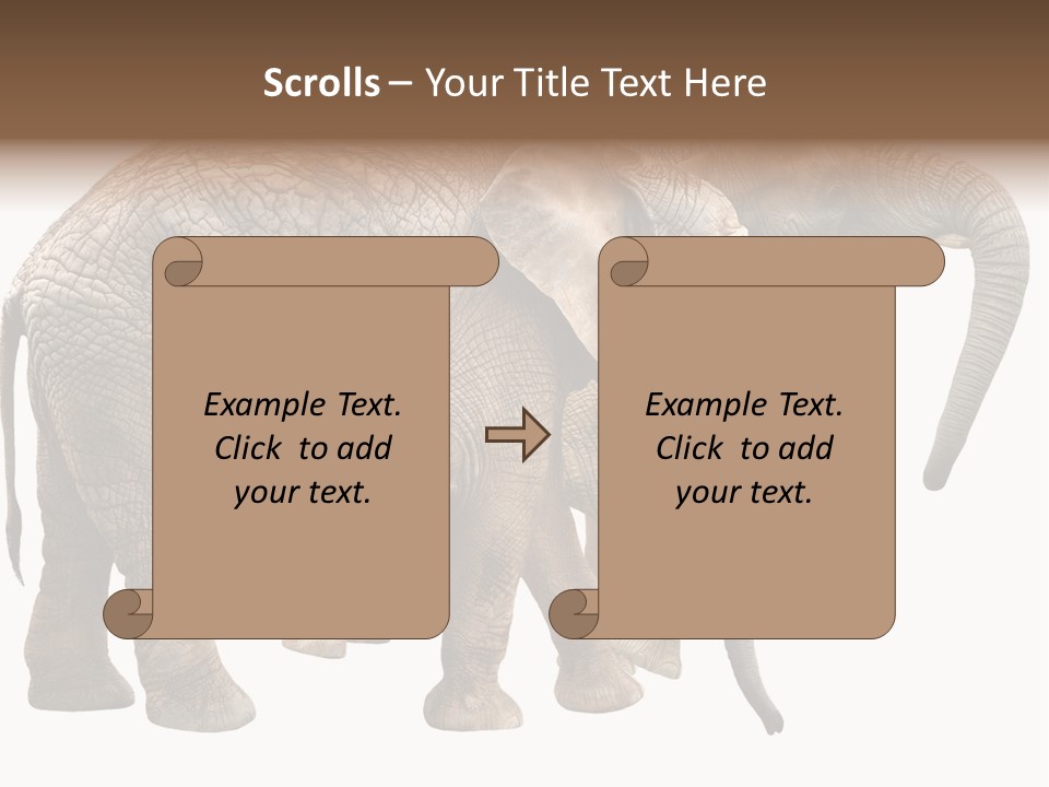 One Natural Tusk PowerPoint Template
