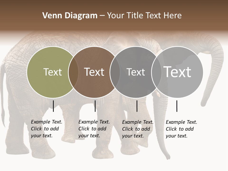 One Natural Tusk PowerPoint Template