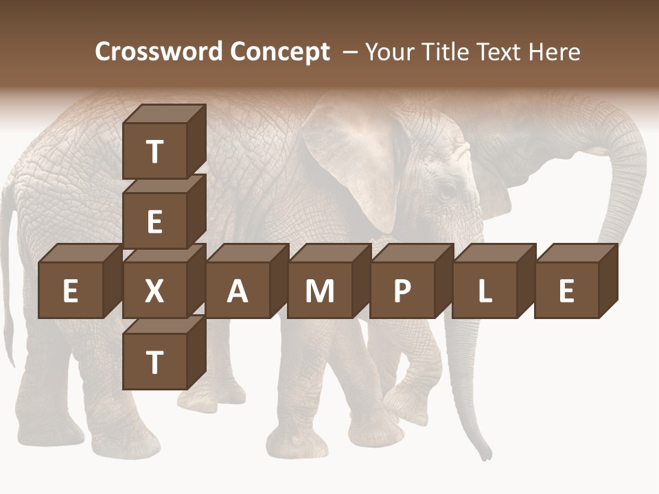 One Natural Tusk PowerPoint Template