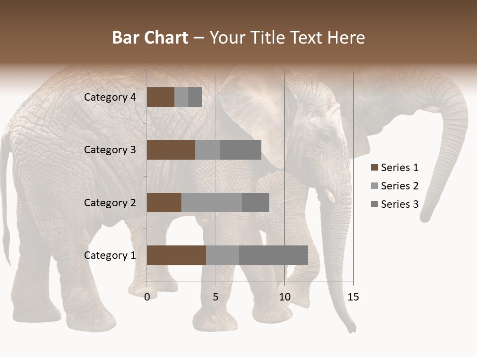 One Natural Tusk PowerPoint Template