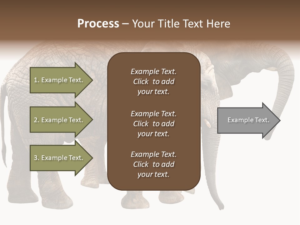 One Natural Tusk PowerPoint Template