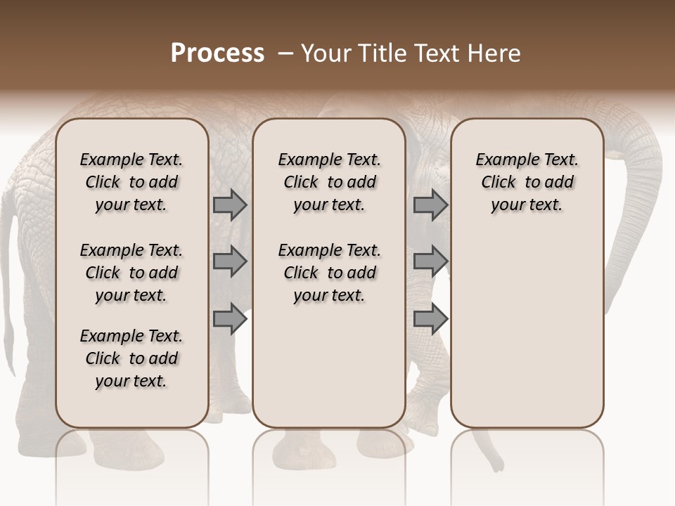 One Natural Tusk PowerPoint Template