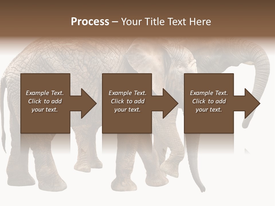 One Natural Tusk PowerPoint Template