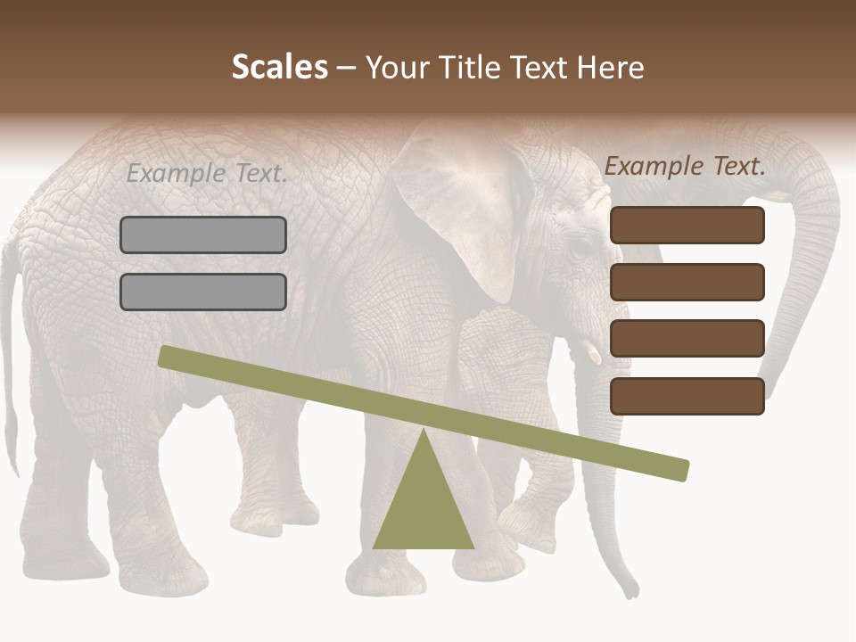 One Natural Tusk PowerPoint Template