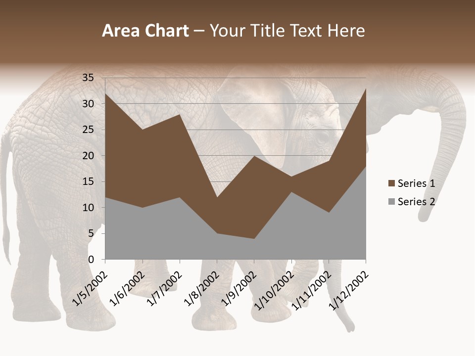 One Natural Tusk PowerPoint Template