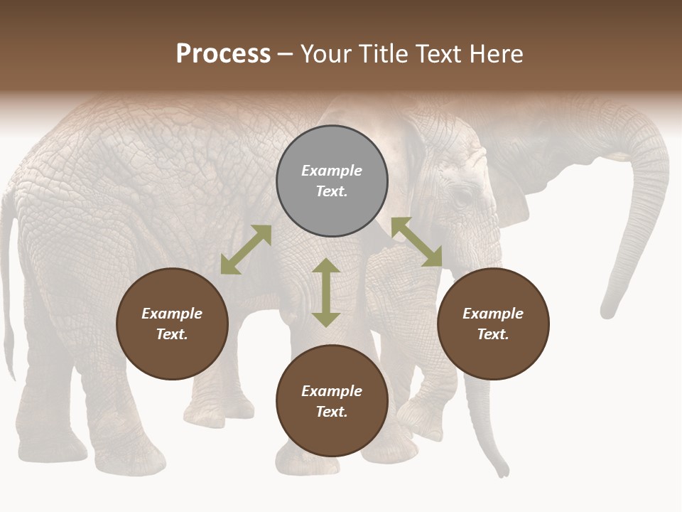 One Natural Tusk PowerPoint Template