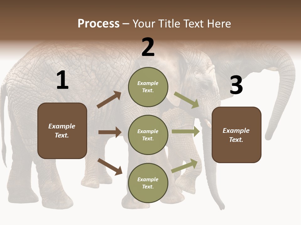 One Natural Tusk PowerPoint Template