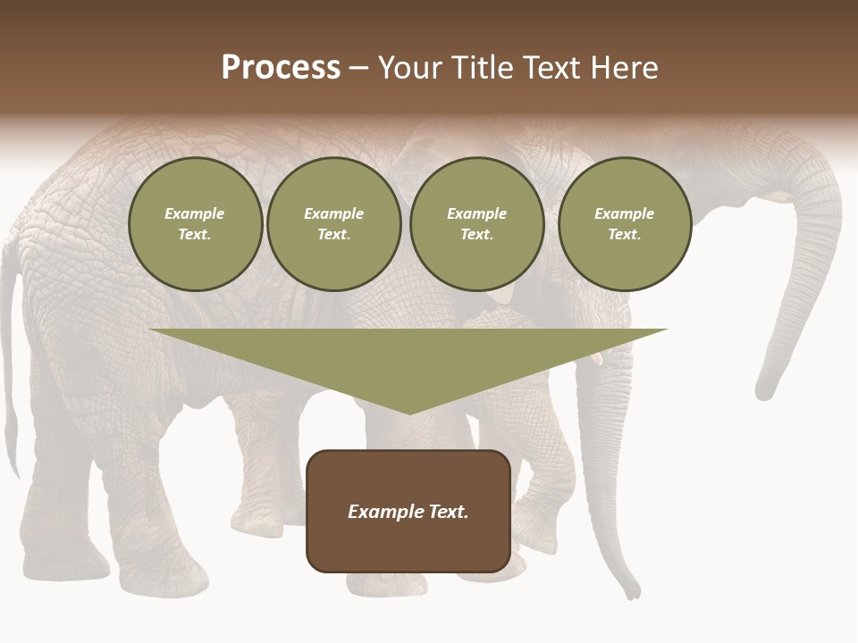 One Natural Tusk PowerPoint Template