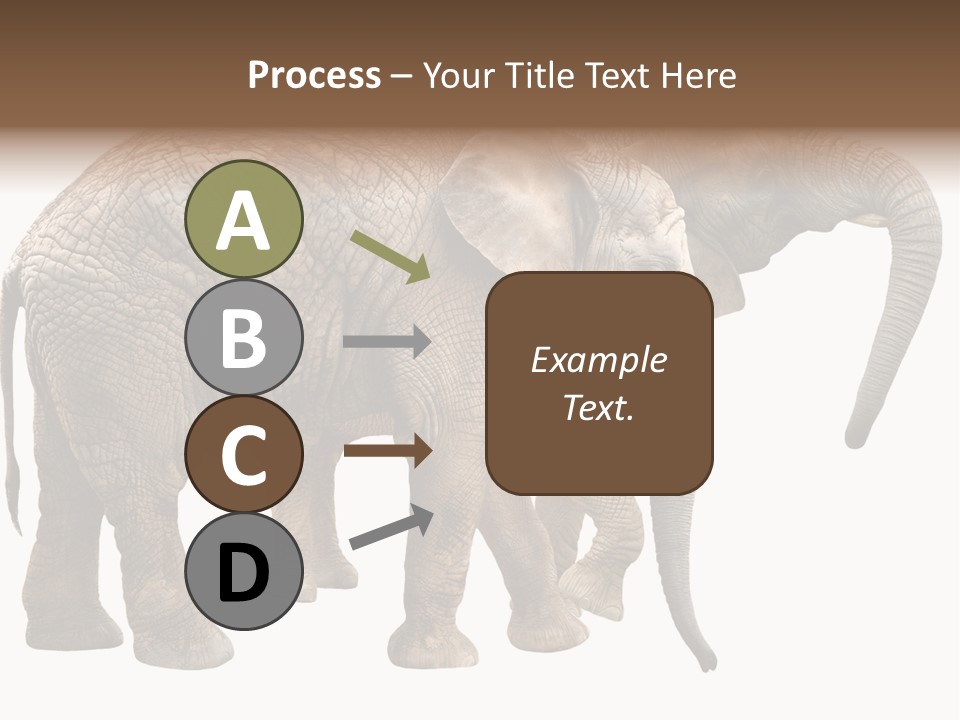 One Natural Tusk PowerPoint Template