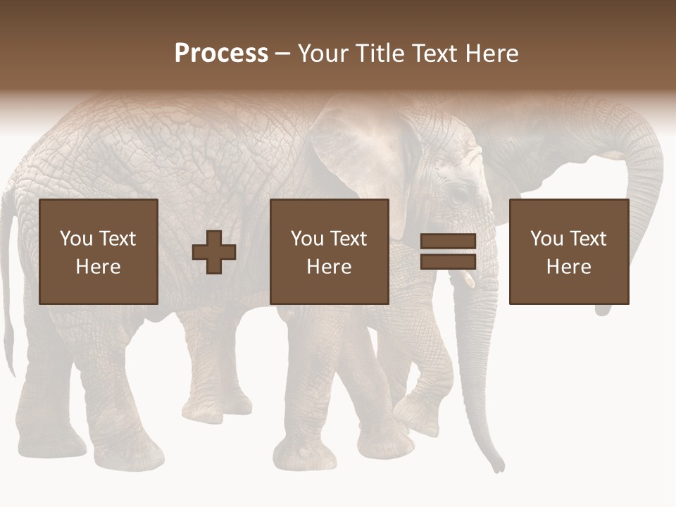 One Natural Tusk PowerPoint Template