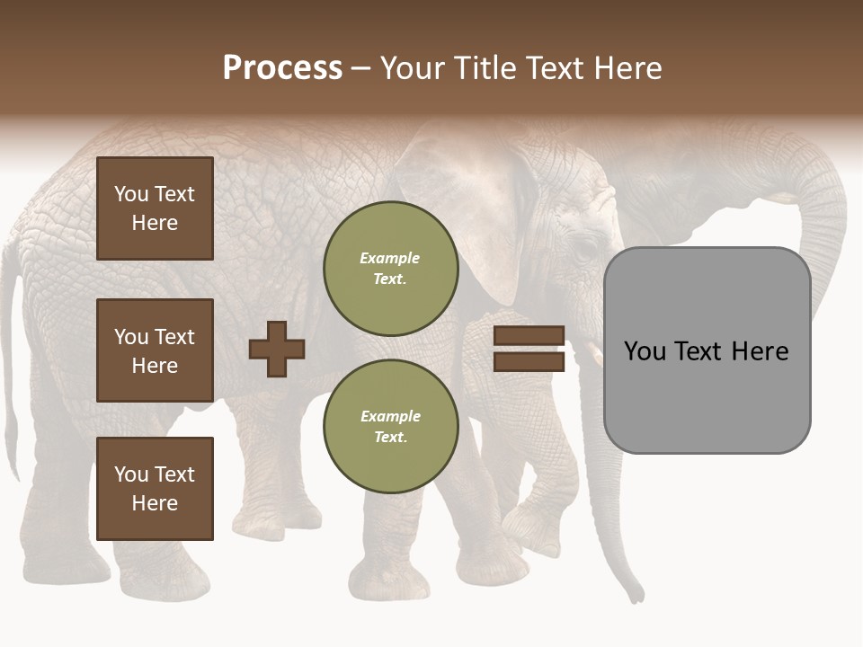 One Natural Tusk PowerPoint Template