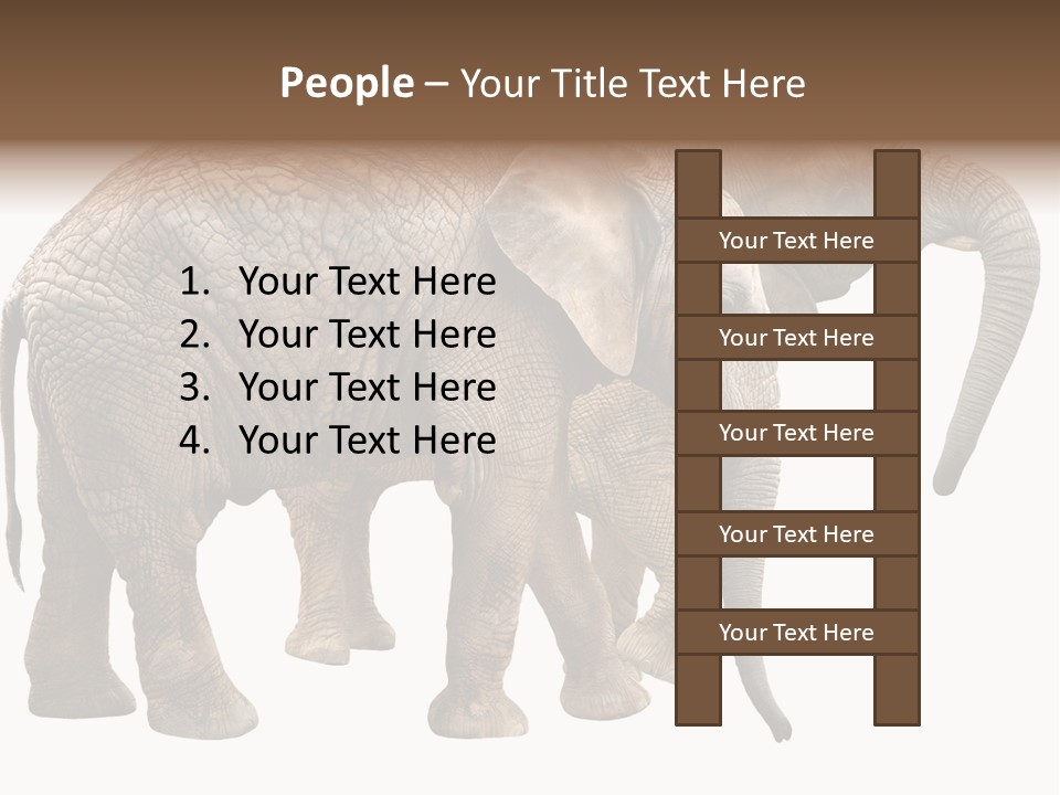 One Natural Tusk PowerPoint Template