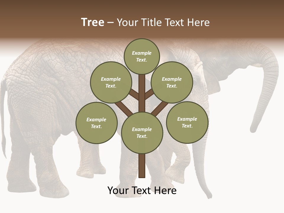 One Natural Tusk PowerPoint Template