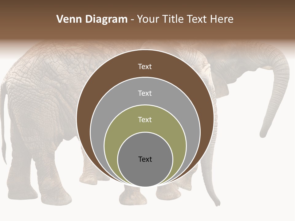 One Natural Tusk PowerPoint Template