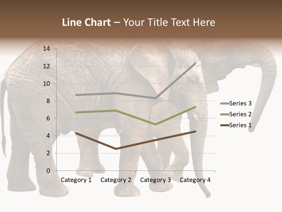 One Natural Tusk PowerPoint Template
