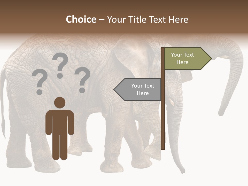 One Natural Tusk PowerPoint Template