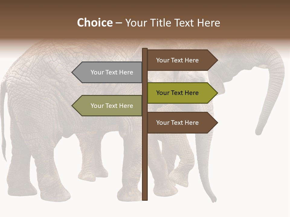 One Natural Tusk PowerPoint Template