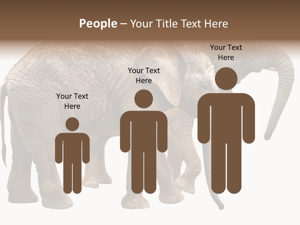 One Natural Tusk PowerPoint Template