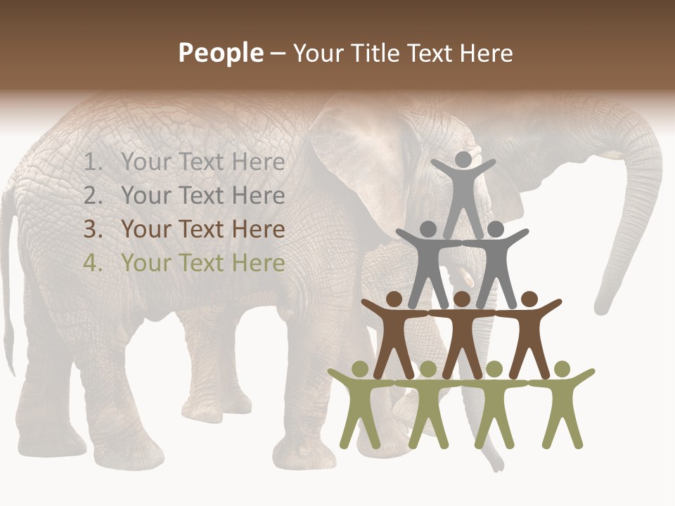 One Natural Tusk PowerPoint Template