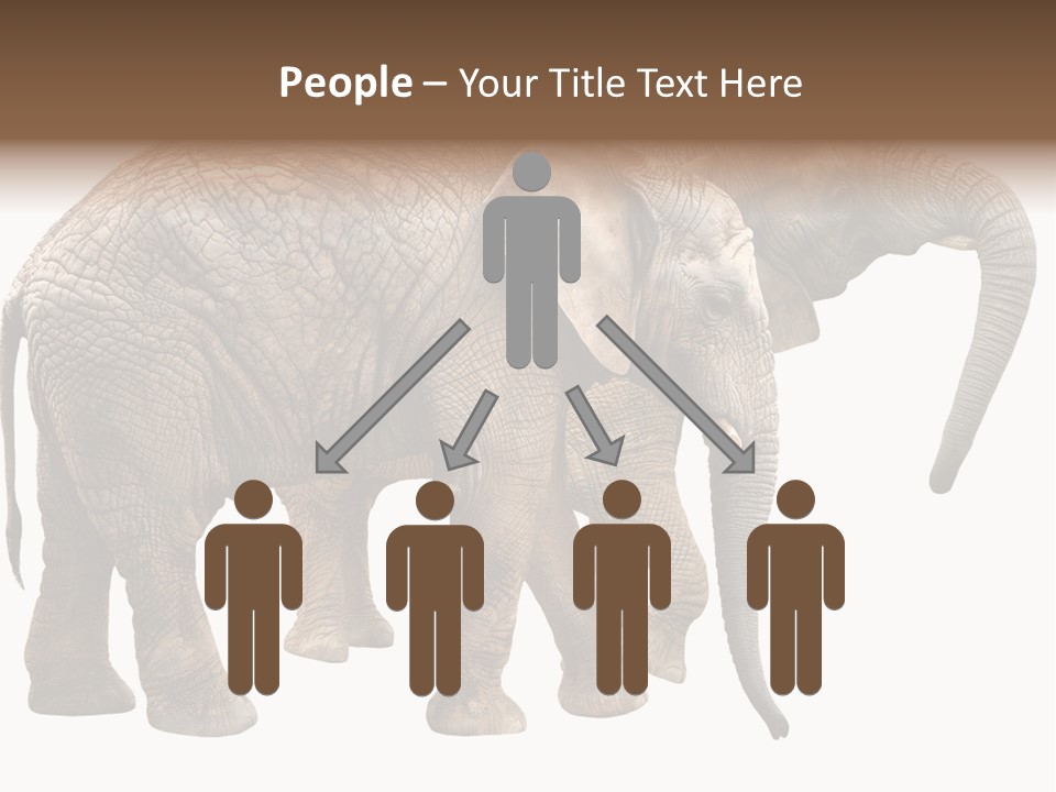 One Natural Tusk PowerPoint Template