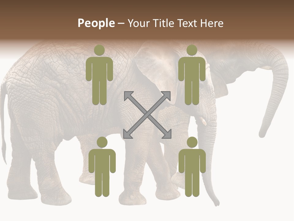 One Natural Tusk PowerPoint Template