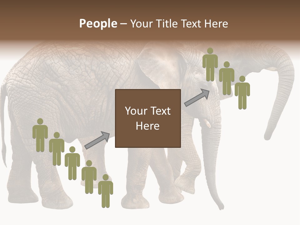 One Natural Tusk PowerPoint Template