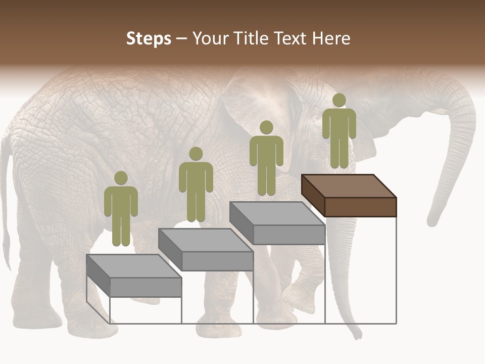 One Natural Tusk PowerPoint Template