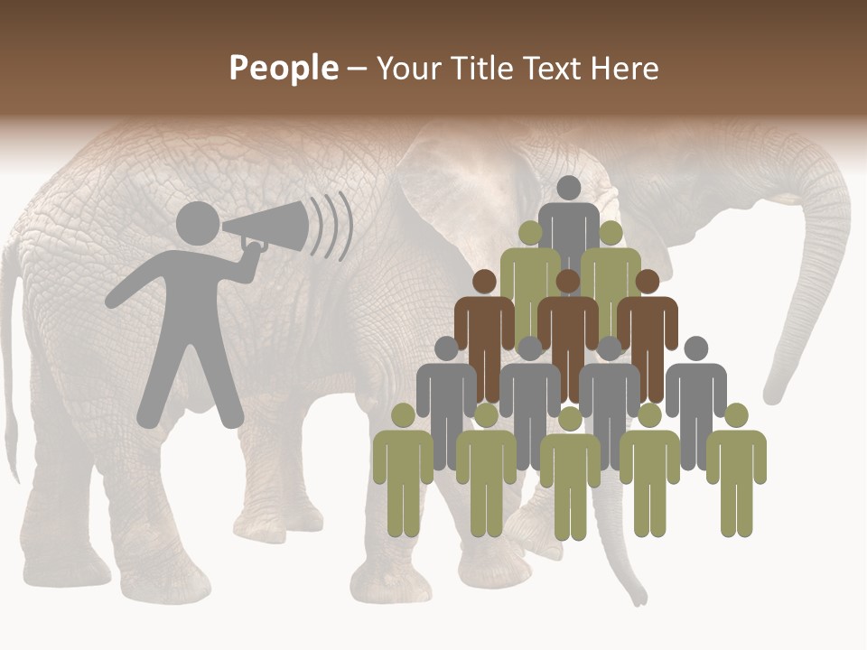 One Natural Tusk PowerPoint Template