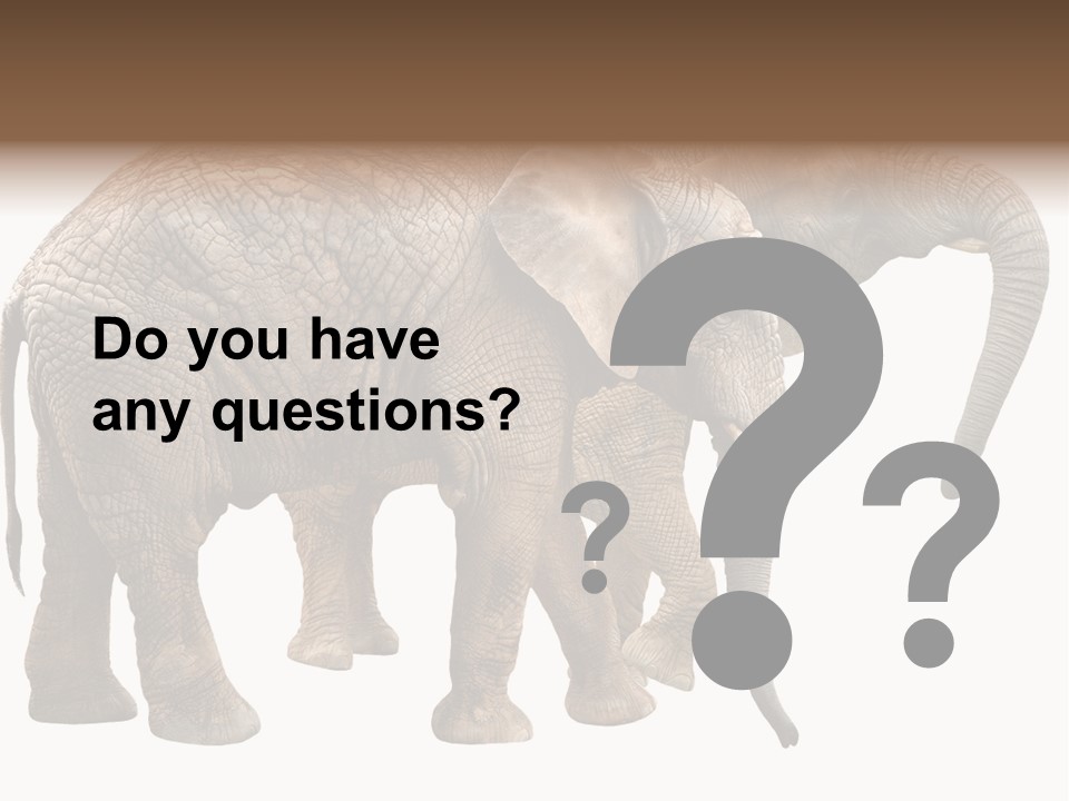 One Natural Tusk PowerPoint Template