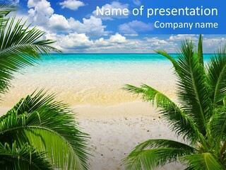 Scenic Ocean Beautiful PowerPoint Template