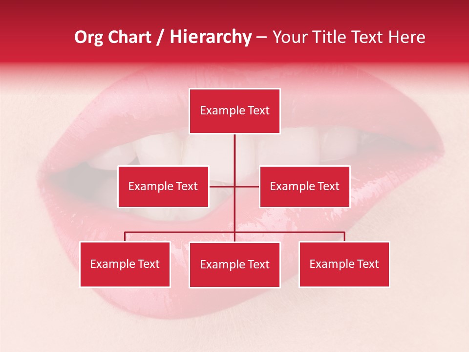 Closeup Photography Backgrounds PowerPoint Template