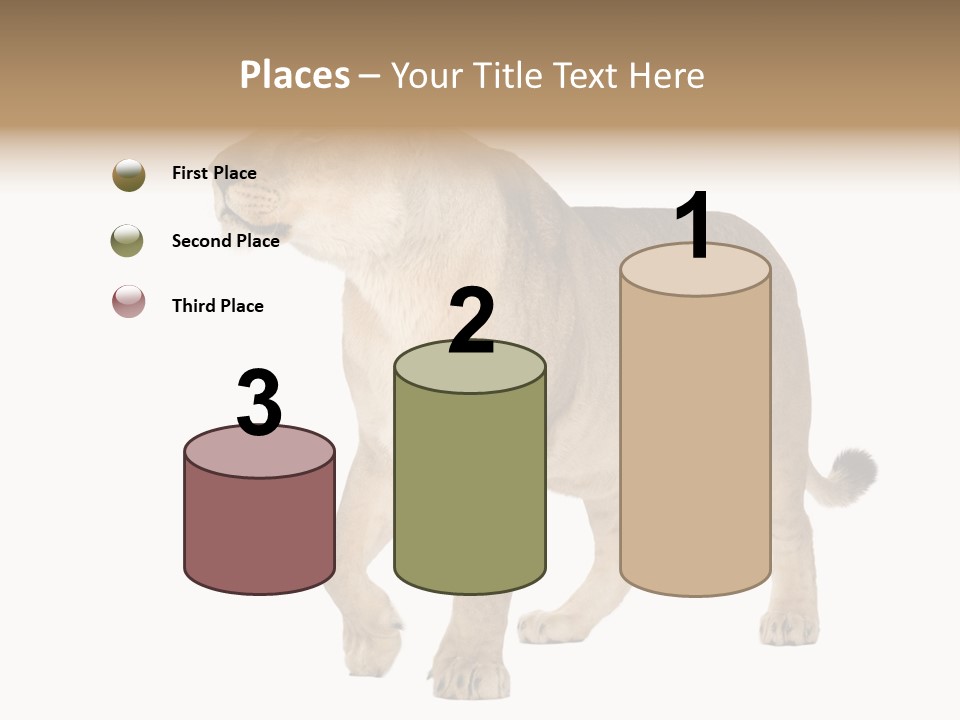 Furry Animal Large PowerPoint Template