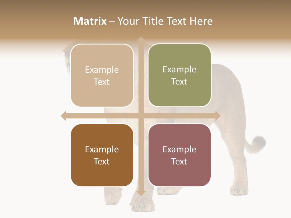 Furry Animal Large PowerPoint Template