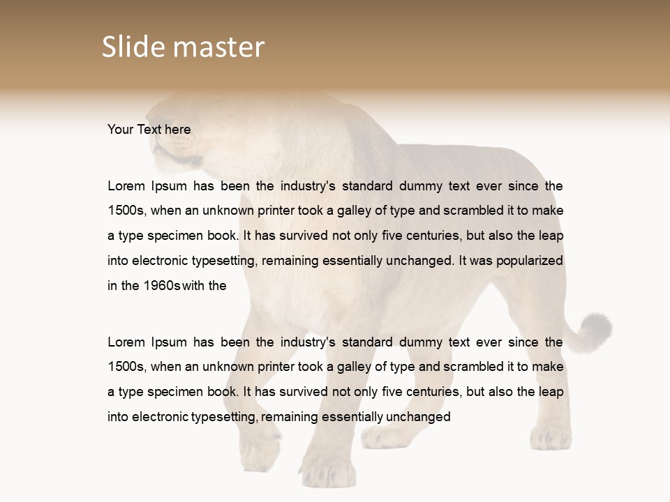 Furry Animal Large PowerPoint Template