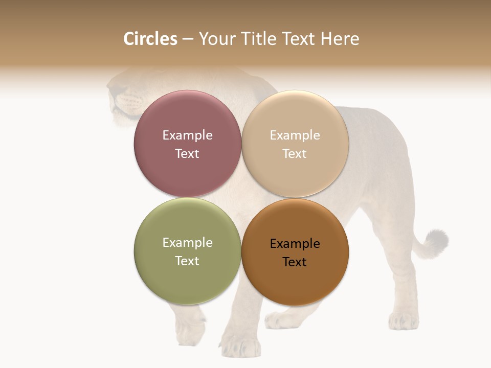 Furry Animal Large PowerPoint Template