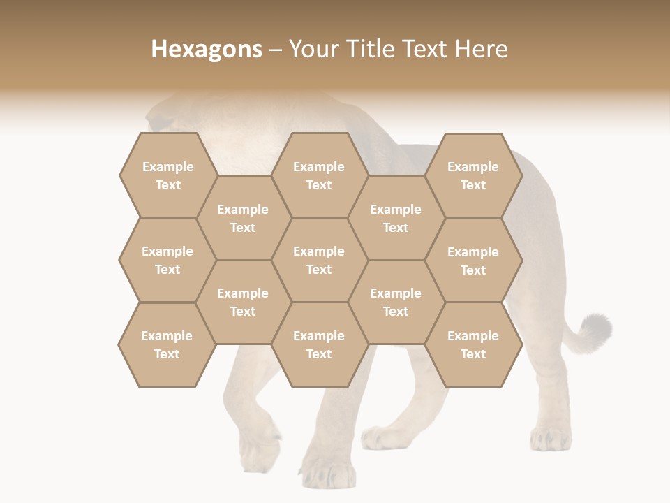 Furry Animal Large PowerPoint Template
