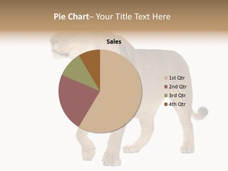 Furry Animal Large PowerPoint Template