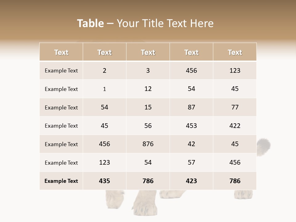 Furry Animal Large PowerPoint Template
