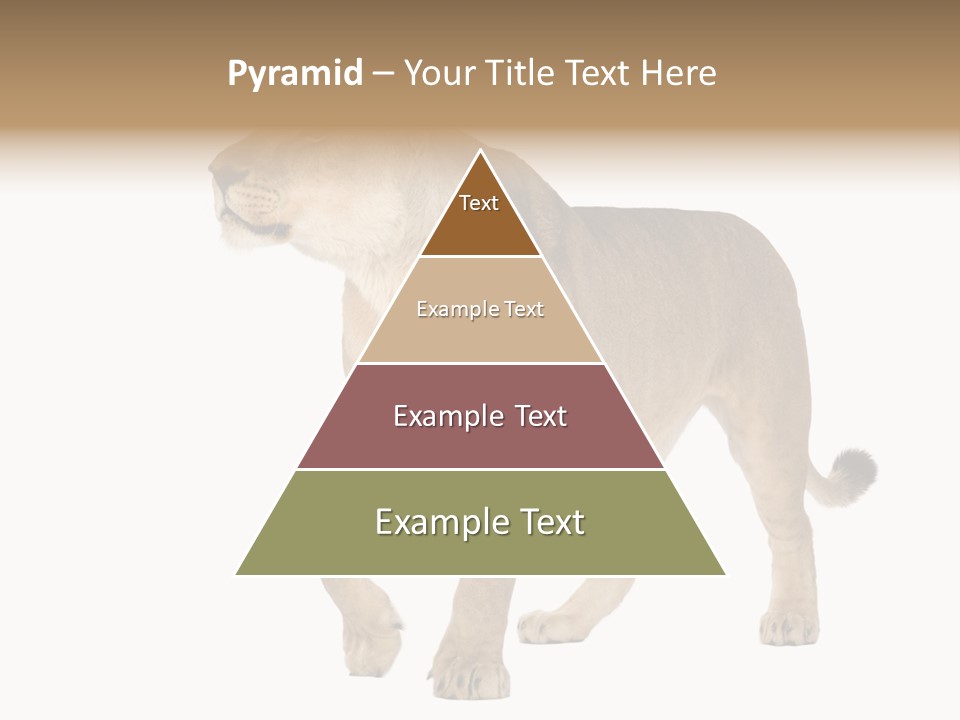 Furry Animal Large PowerPoint Template